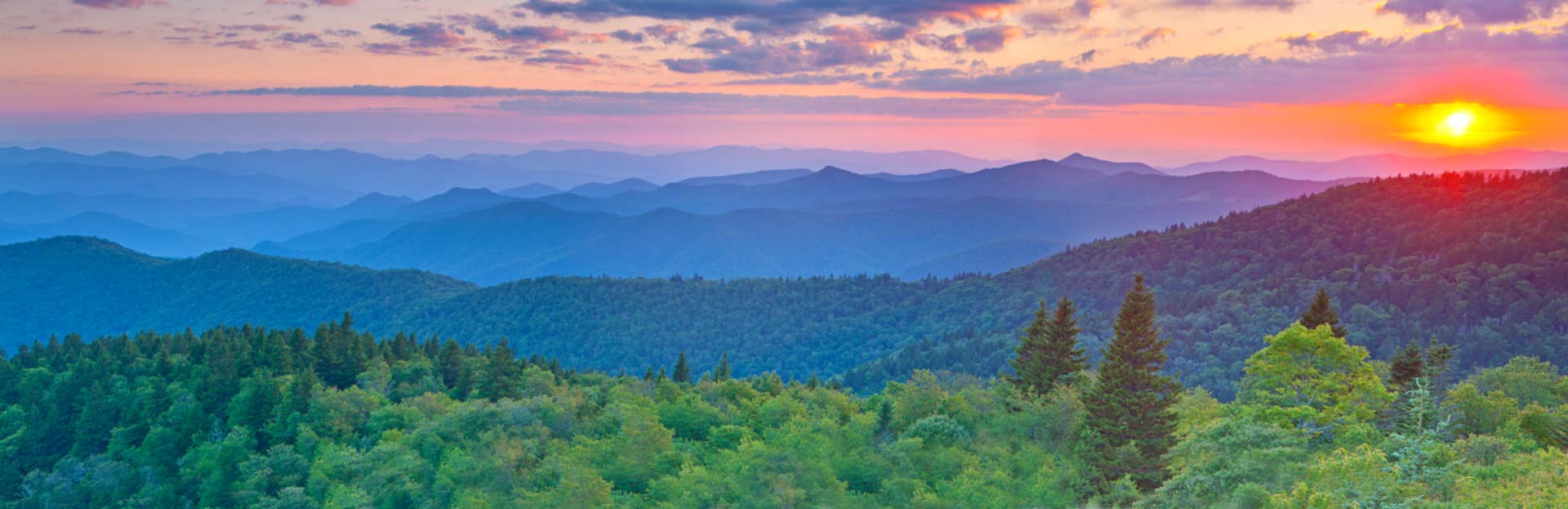 Low Cost SEO Services for Small Businesses in North Carolina