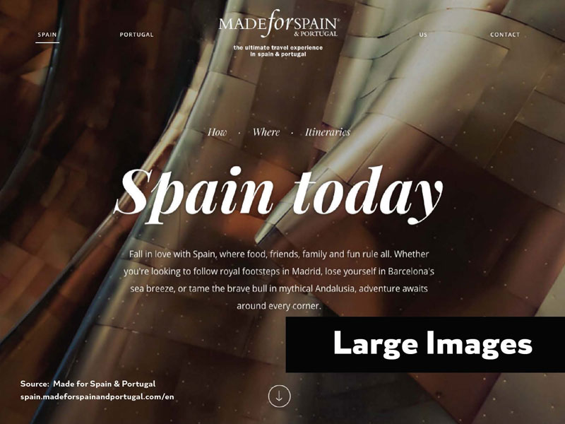 2016 Design Trends - Large Images