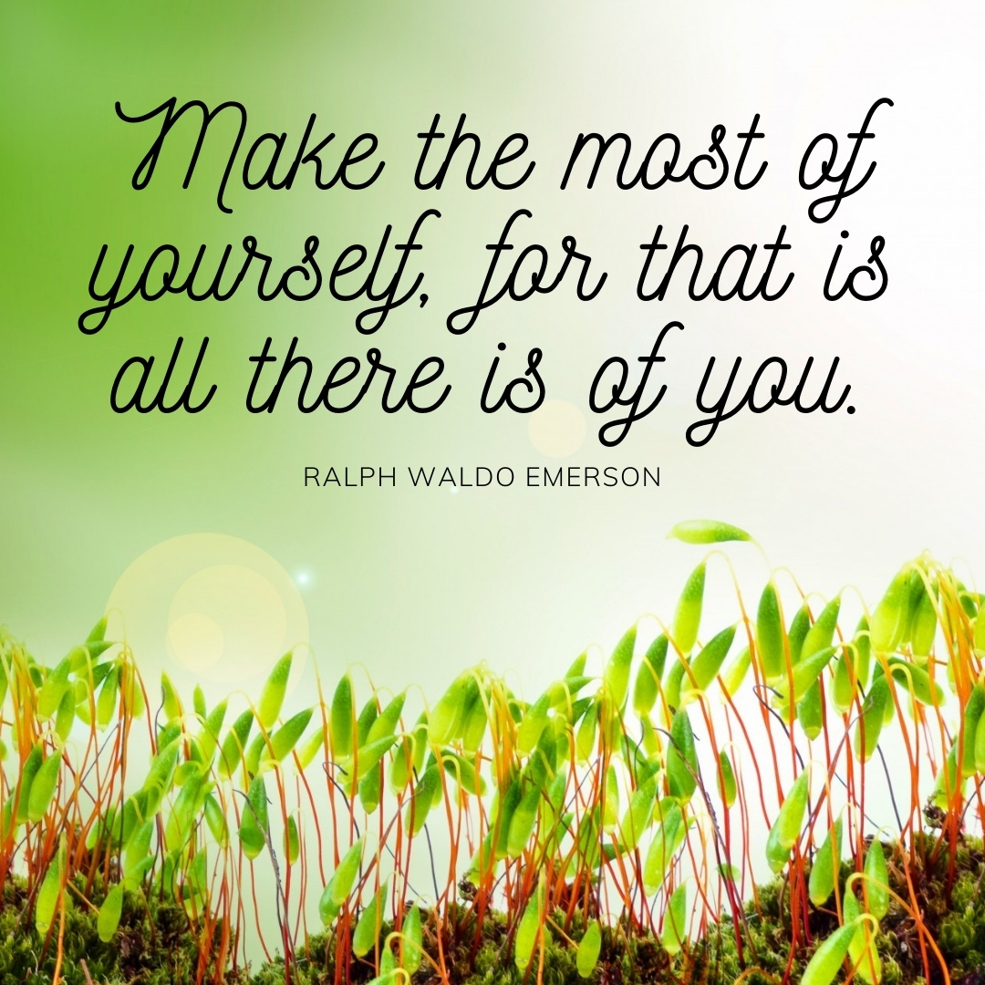 cube-creative-design-quotes-for-social-media-36 52 Quotes to Motivate and Inspire You