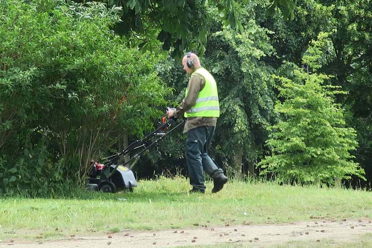 How Small Lawn Care Companies Can Compete With National Brands Online