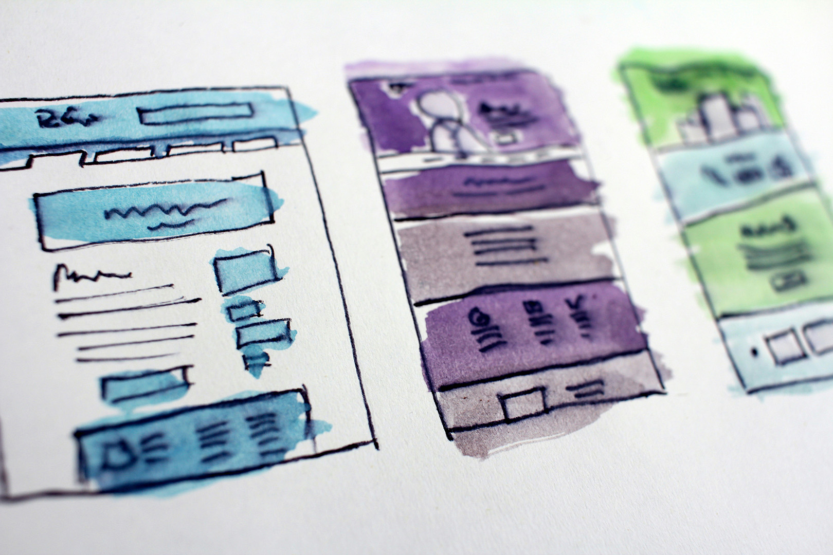 website design draft