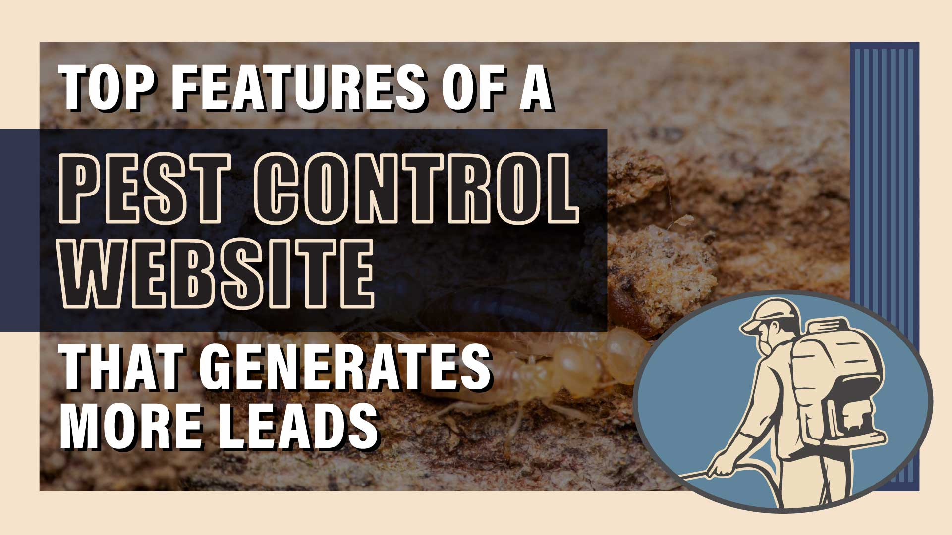Top Elements of a Pest Control Website That Drives More Leads