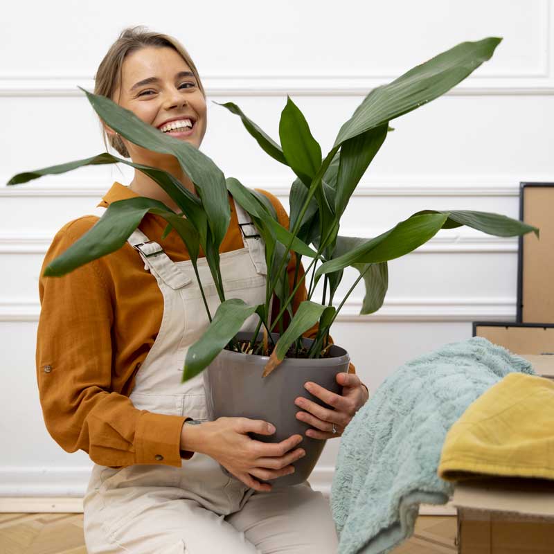Buyer Persona Example: Homeowner Hannah