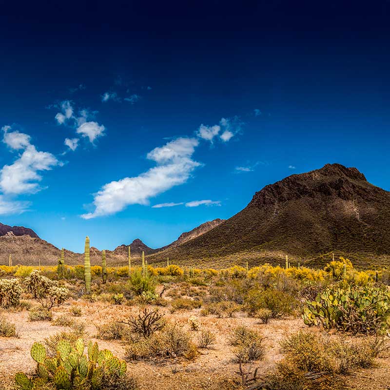 Phoenix, AZ