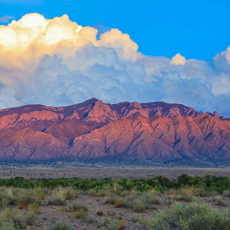 Albuquerque, NM School Marketing: Attracting More Students image Albuquerque, NM