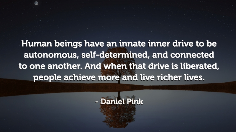 Human beings have an innate inner drive to be autonomous, self-determined, and connected to one another. And when that drive is liberated, people achieve more and live richer lives. -Daniel Pink
